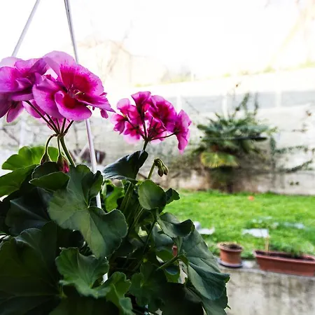 Гостевой дом Natalija