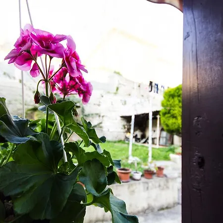 Maison d'hôtes Natalija *