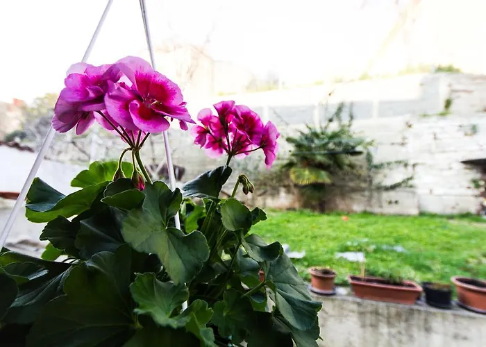 Гостевой дом Natalija